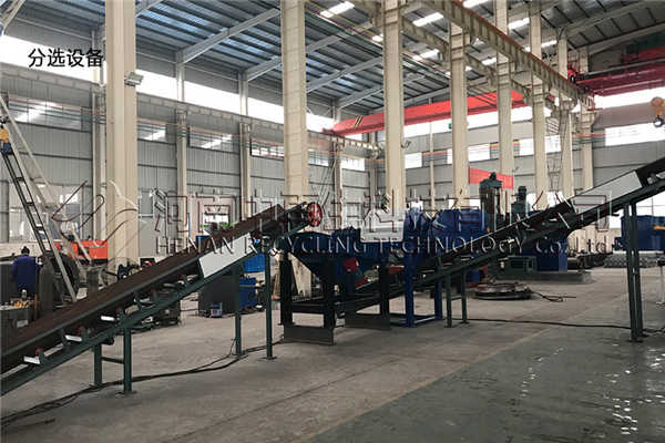 分選系統 分選系統